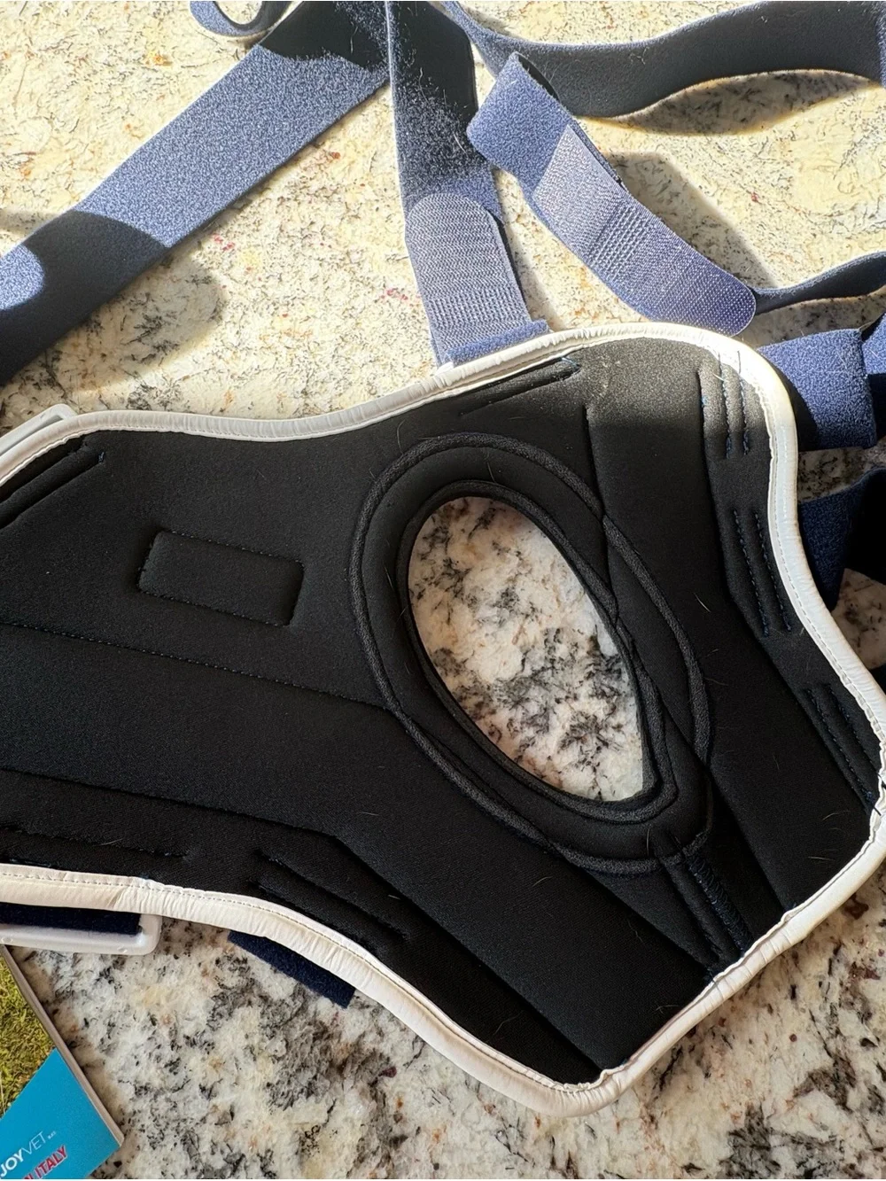 Left Rear Dog Knee Brace - Navy Blue USED